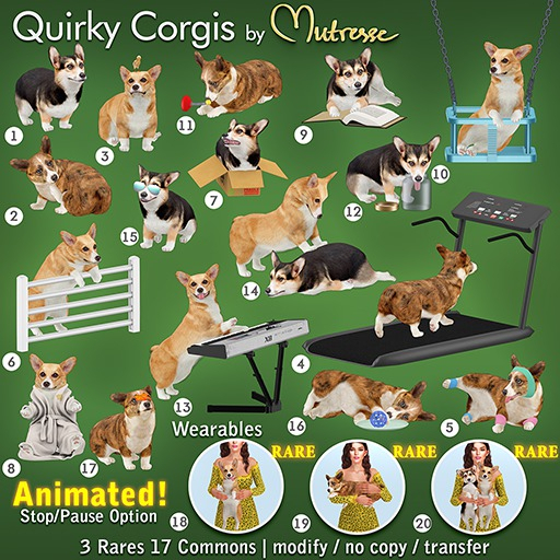 18-Mutresse-Quirky Corgis RARE