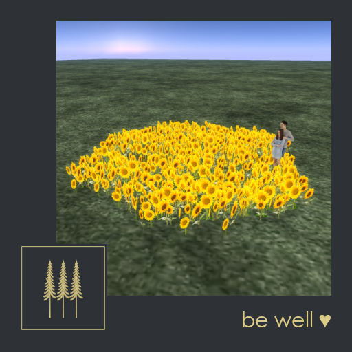 NEW ➛ Sonnenfeld Modular Sunflower Meadow (Multiple Sizes) - Makes it Easy to Create Whole Fields - C/M (Wear to Unpack)