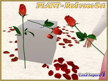 PLANT - Red rose Set (1 LI) (Full perm)