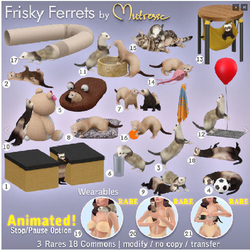 Mutresse - Frisky Ferrets - 8