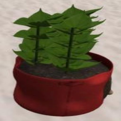 DFS Potato Plant - Bag Planter Red (Uber May 2022)