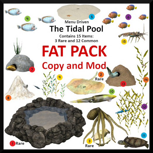 The Tidal Pool Fat Pack