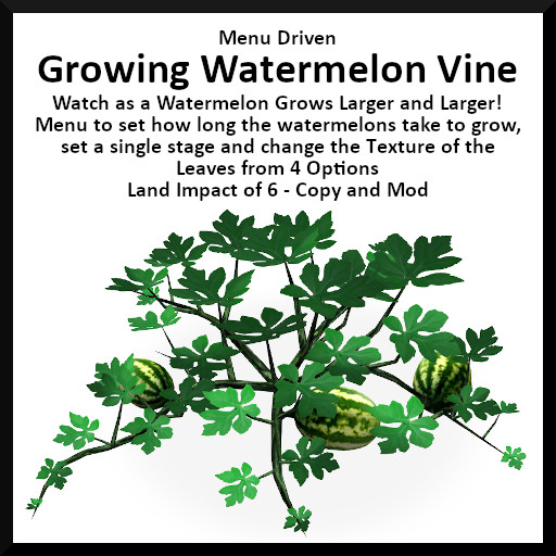 Menu Driven Growing Watermelon Vine