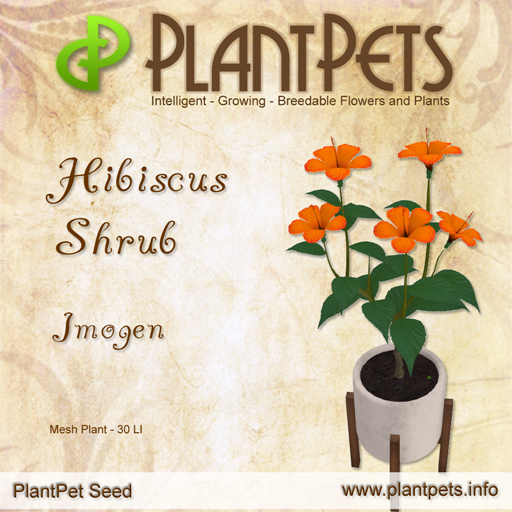 PlantPet Seed [Hibiscus Shrub *Imogen*]