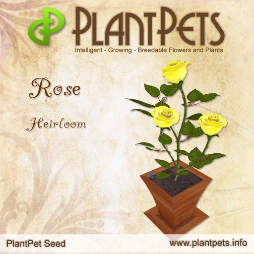PlantPet Seed [Rose *Heirloom*]