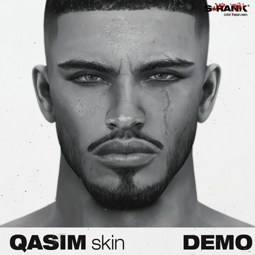 *DEMO* S-RANK "QASIM" SKIN