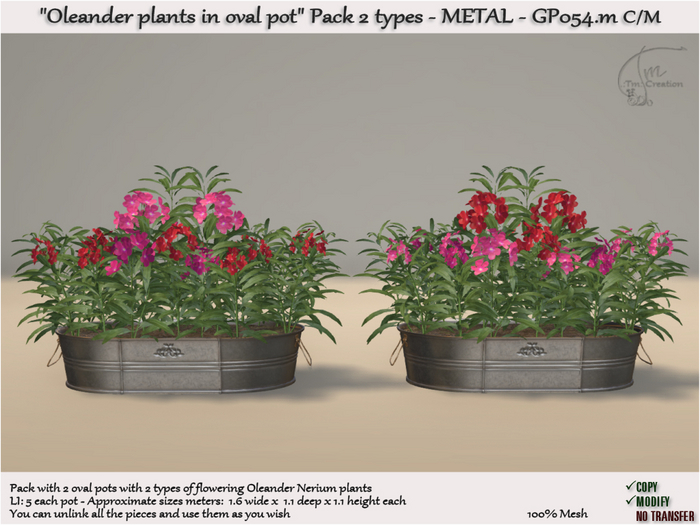 Pot Oleander plants Metal 2 Types GP54.m 