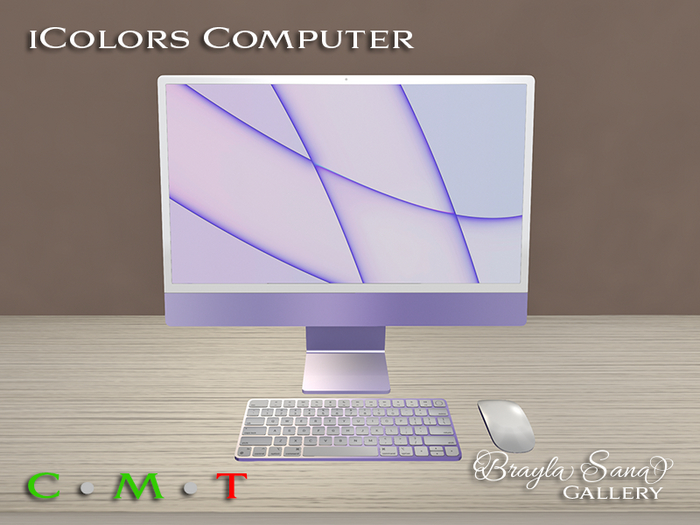 All in One Computer Purple Terminal