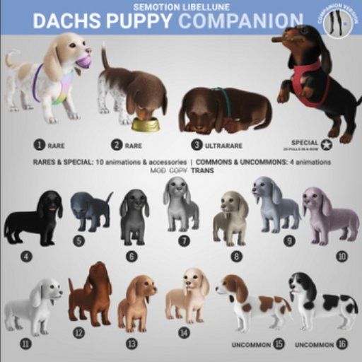 SEmotion Libellune Dachs Puppy Companion COMMON 05