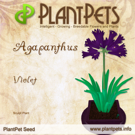 PlantPet Seed [Agapanthus *Violet*] Common
