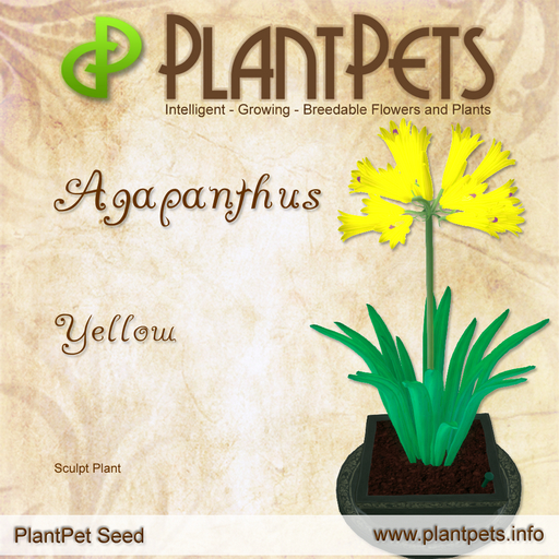 PlantPet Seed [Agapanthus *Yellow*] Common