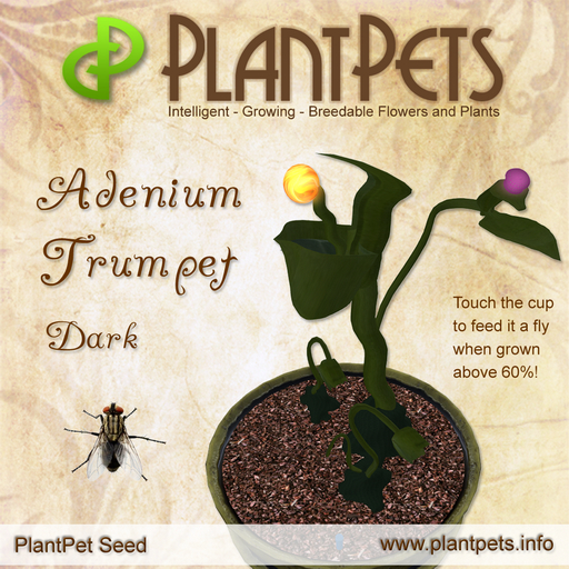 PlantPet Seed [Adenium Trumpet *Dark*] Common