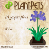 PlantPet Seed [Agapanthus *Blue*] Common