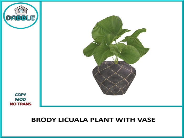 DB BRODY LICUALA PLANT WITH VASE  add me