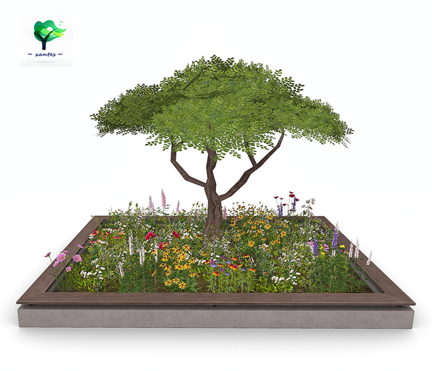 ~ xantes ~ Acacia Tree Flowers Planter Adan (BOX)