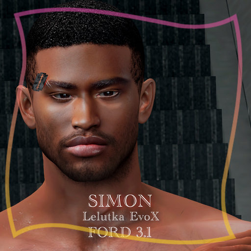 BLACK CHARM - SIMON SHAPE for FORD EVO X 3.1 Legacy Body