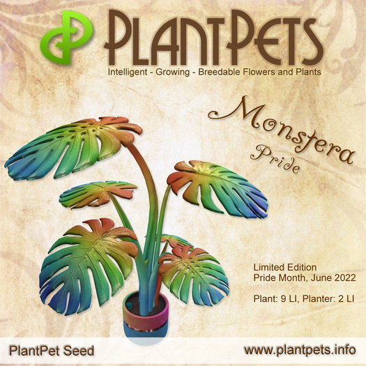 PlantPet Seed [Monstera *Pride*] limited elite Release Day 28.05.2022