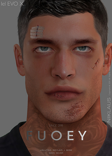 f u o e y . Niklaus Skin FATPACK