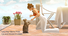 "Lets play" cat