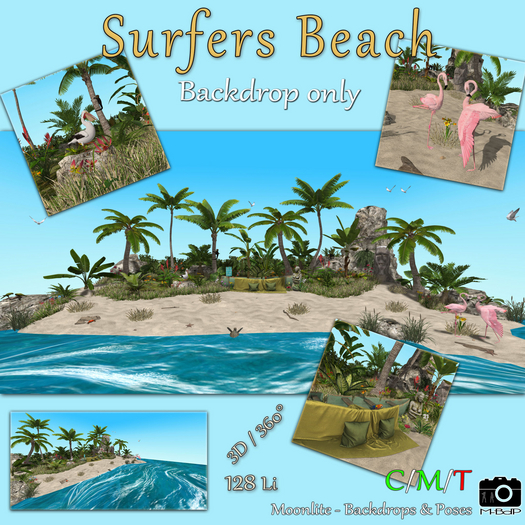 M-BdP :: Surfers Beach - BD Only (No Poses)