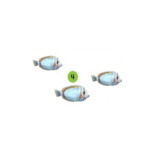 04-Three Swimming Fish - Boxed