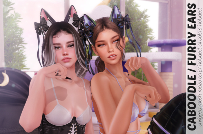 Caboodle - Furry Ears - Fatpack