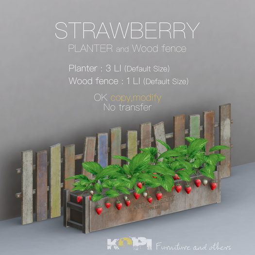 *KOPI* Strawberry Planter