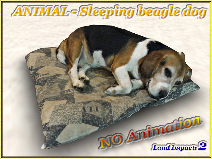 ANIMAL - Sleeping beagle dog (2 LI) (Full perm)