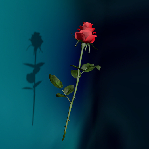 BG Rose_DarkRed