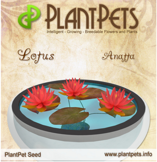 SUMMER SALE - PlantPet Seed [Lotus *Anatta*] - common - free breeding - no extra costs 