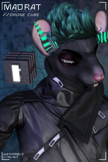 Mad Rat //Drone Cube [Group Gift]
