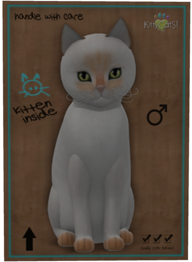 KittyCatS Box - Siamese - Flame