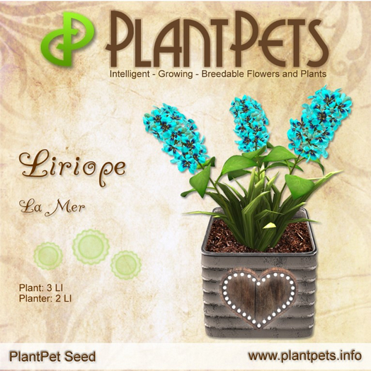 PlantPet Seed [Liriope *La Mer*] Updated