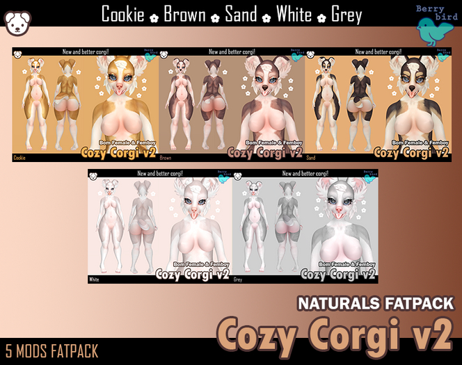 Berrybird - Cozy Corgi v2 [NATURALS FATPACK]