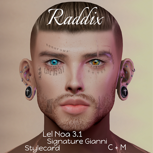 Raddix