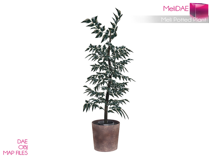 Dae, Obj, FBX, And Texture Files Potted Interior Plant Tree
