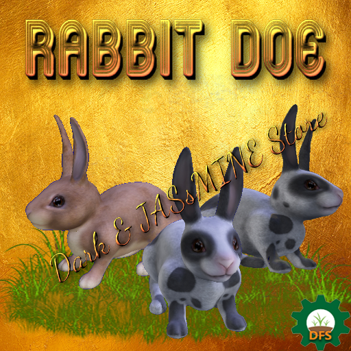 DFS Rabbit Doe (Actual Item)