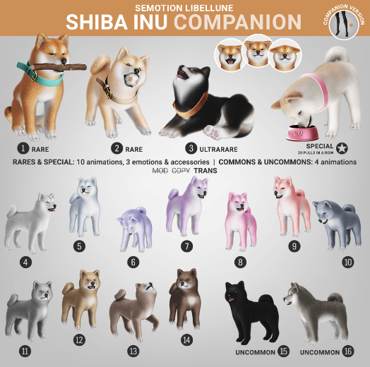 SEmotion Libellune Shiba Inu Companion UNCOMMON 16
