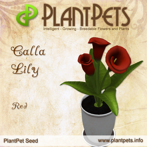 PlantPet Seed [Calla Lily *Red*] Common