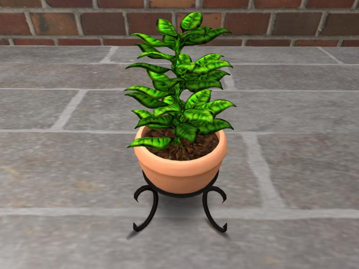 {P.S.} Terracotta Potted Leafy Plant w/Resize