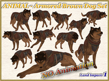 ANIMAL - Armored Brown Dog Set (1 LI) (Full perm)
