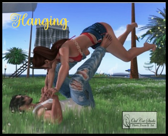 **Studio Owl Cat**  - Hanging