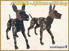 ANIMAL - African wild dog (1 LI) (Full perm)