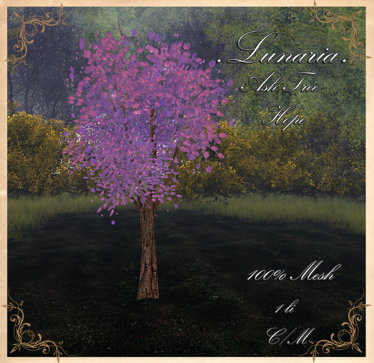 .Lunaria. Ash Tree - Hope GIFT