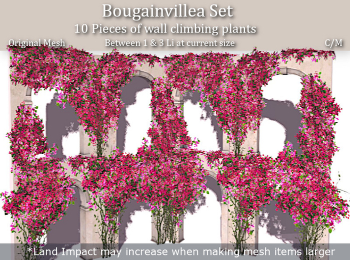 LOVE SUPERSTORE - BOUGAINVILLEA SET 