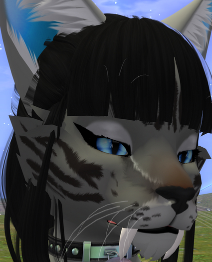 TYGR GIFT MAKEUP TINTABLE