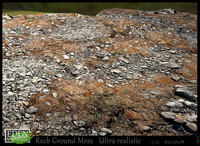  Rock ground moss