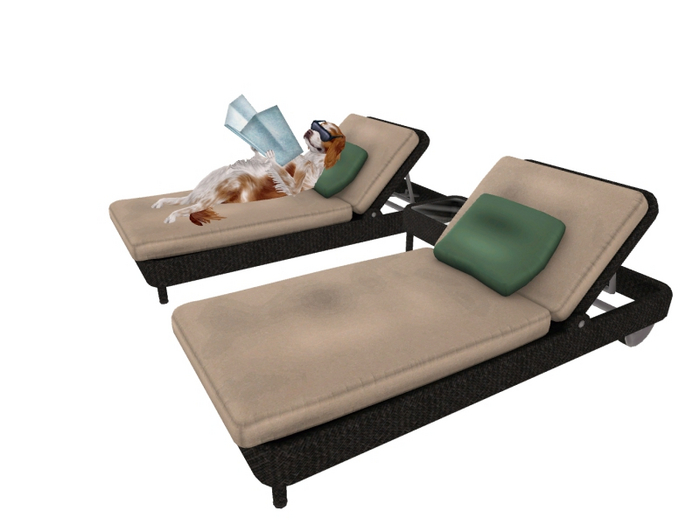 JIAN Splashy Spaniels 1. Poolside Chaise RARE