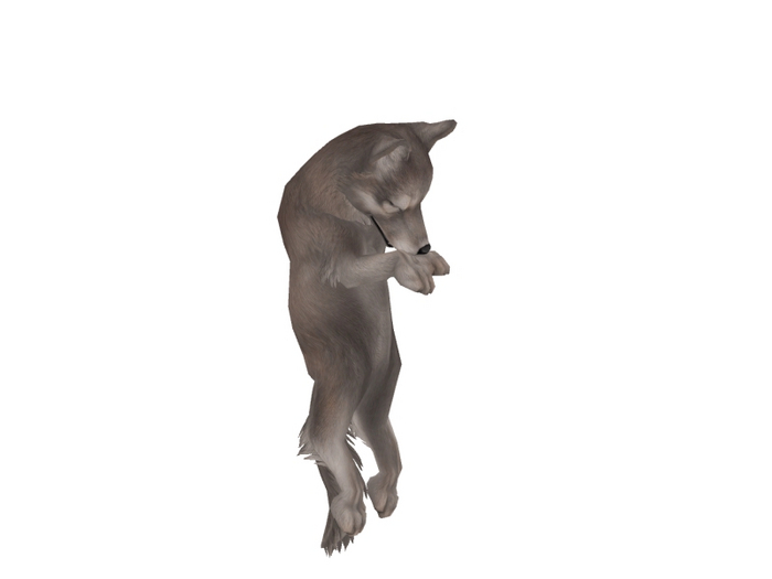 JIAN Warrior Wolves 12. Timber Held