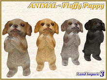 ANIMAL - Fluffy Puppy dog (3 LI) (Full perm)